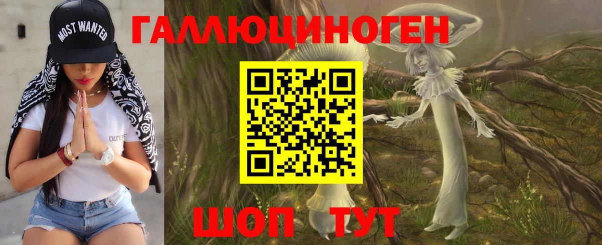 Псилоцибиновые грибы GOLDEN TEACHER  Вход с VPN  Новоалтайск  продажа наркотиков  Псилоцибиновые грибы Cubensis 